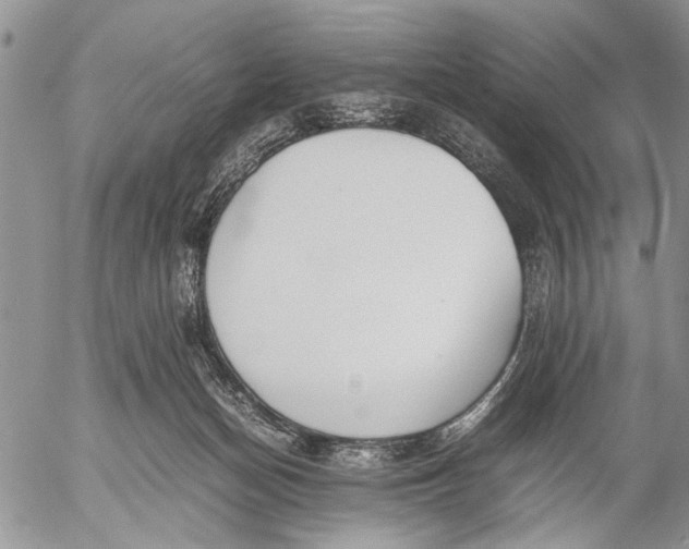 X0000053010174200507291717