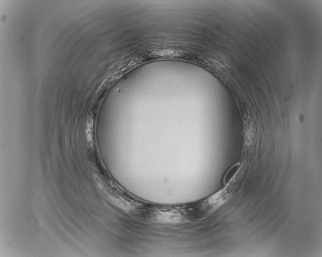 X0000053010175200507291717