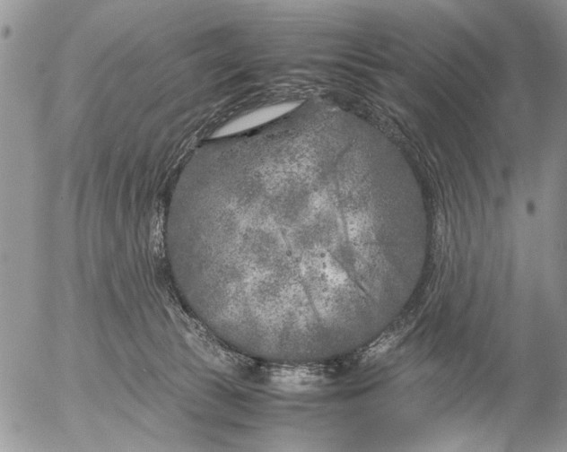 X0000053010177200507291717