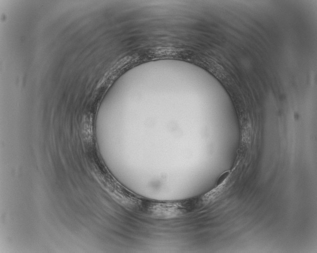 X0000053010179200507291717