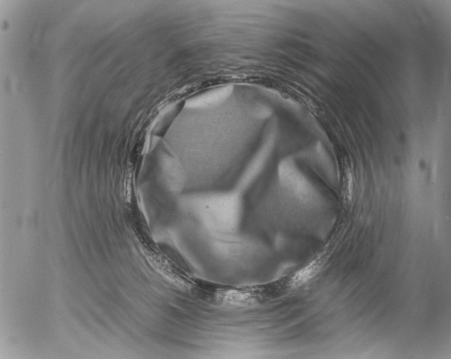 X0000053010180200507291717