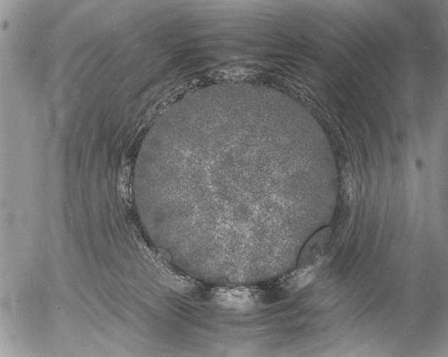 X0000053010181200507291717