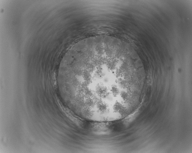 X0000053010182200507291717