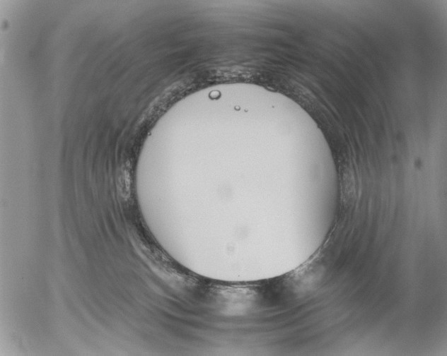 X0000053010183200507291717