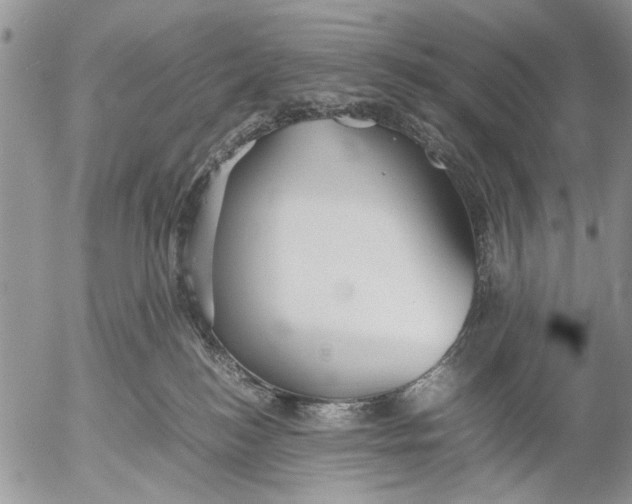 X0000053010184200507291717