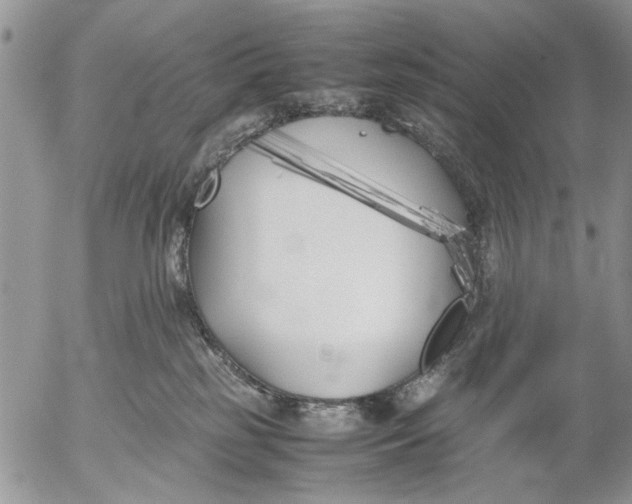 X0000053010185200507291717