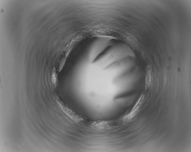 X0000053010186200507291717