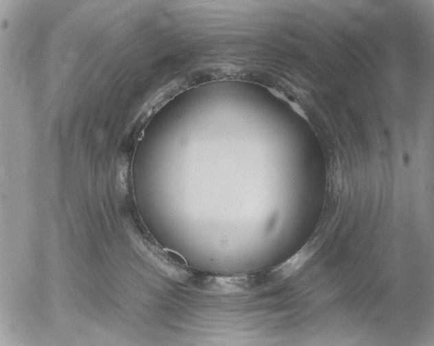 X0000053010188200507291717