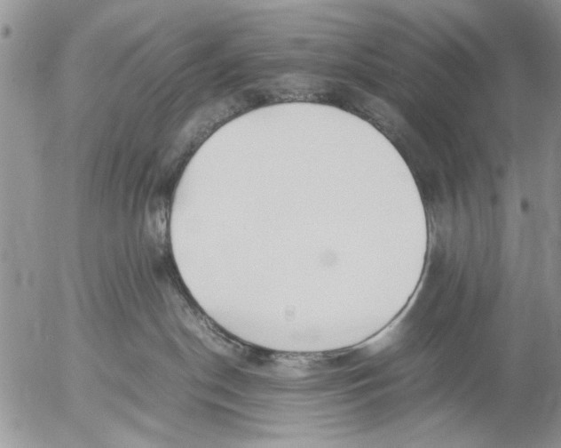 X0000053010190200507291717