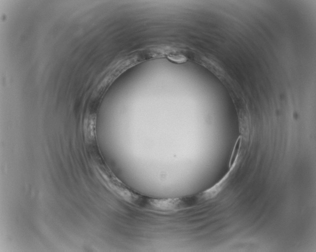 X0000053010191200507291717