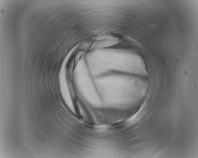 X0000053010192200507291717