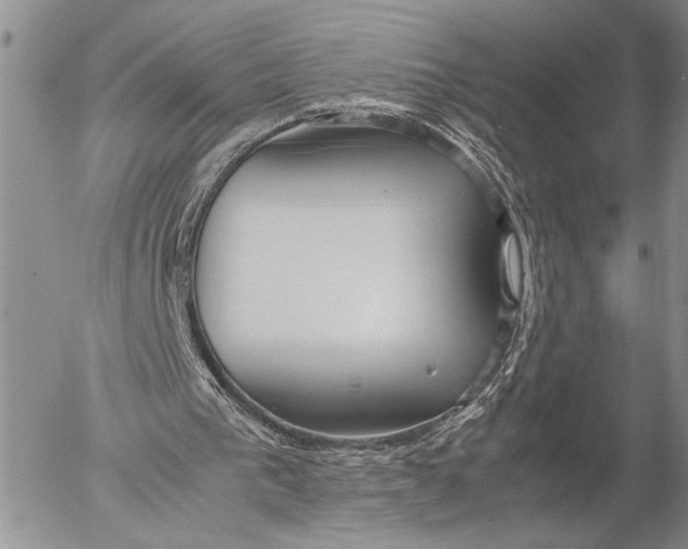 X0000053010193200507291716