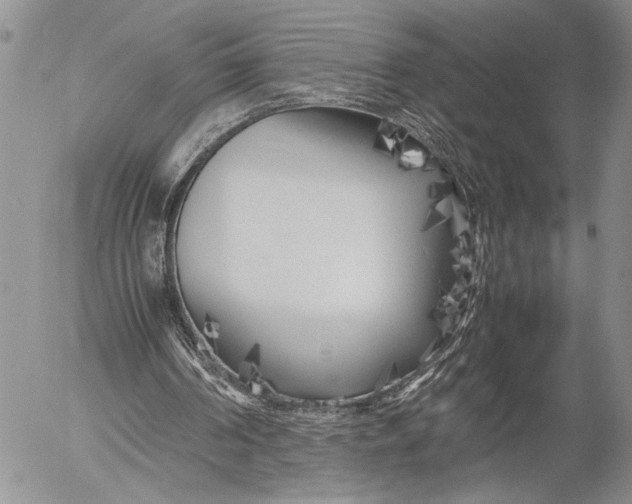 X0000053010194200507291716