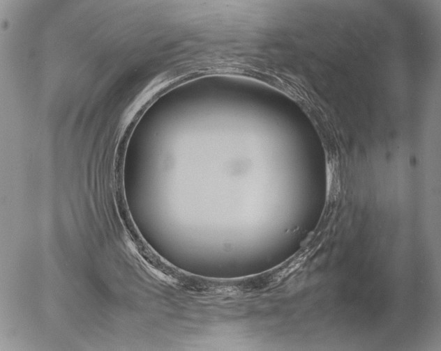 X0000053010195200507291716