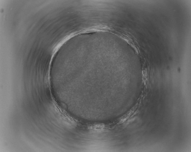 X0000053010196200507291716