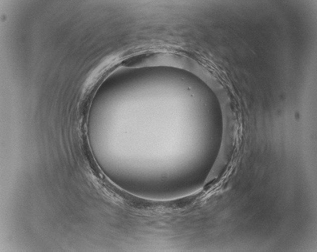 X0000053010197200507291716