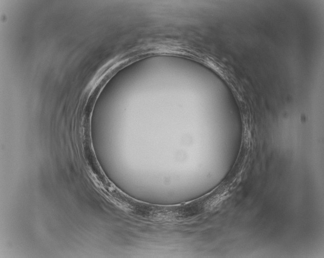 X0000053010199200507291716