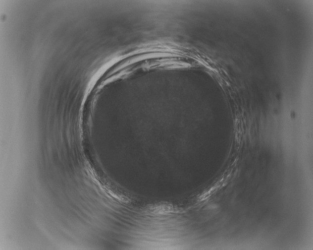 X0000053010200200507291716