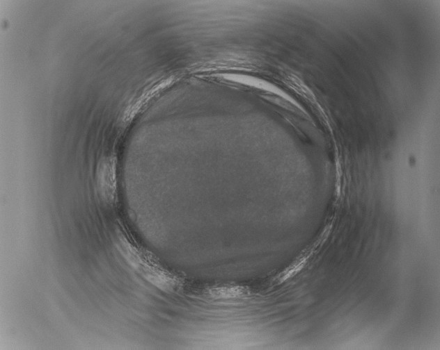 X0000053010202200507291716