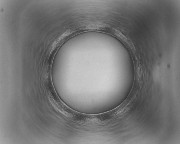 X0000053010203200507291716