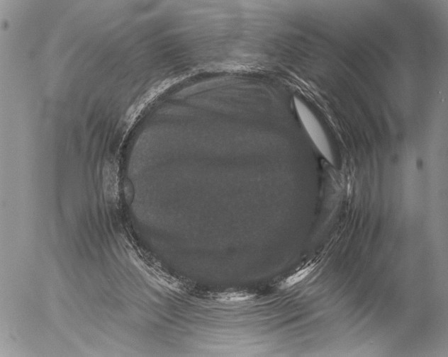 X0000053010204200507291716