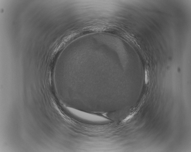 X0000053010205200507291716