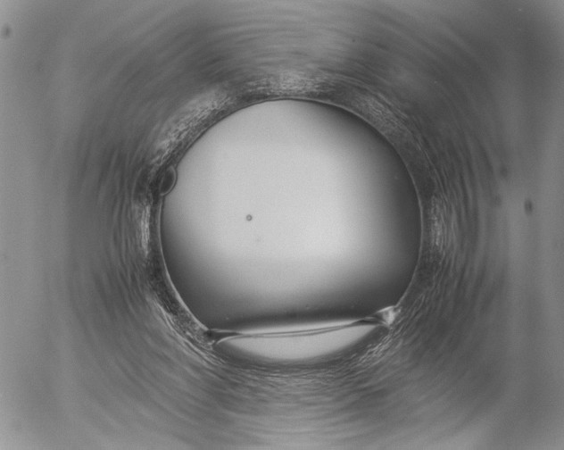 X0000053010206200507291716