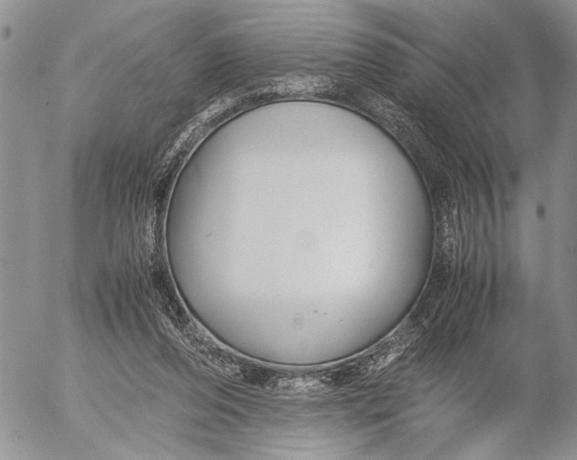 X0000053010208200507291716