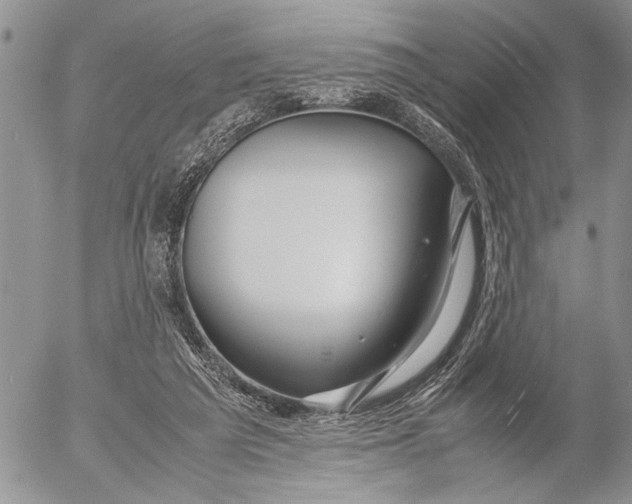 X0000053010209200507291716