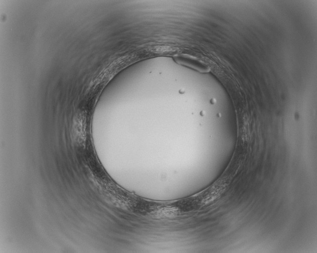 X0000053010210200507291716