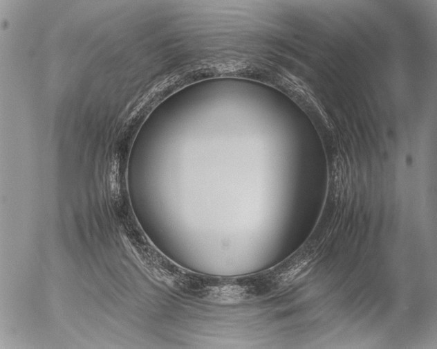 X0000053010212200507291716