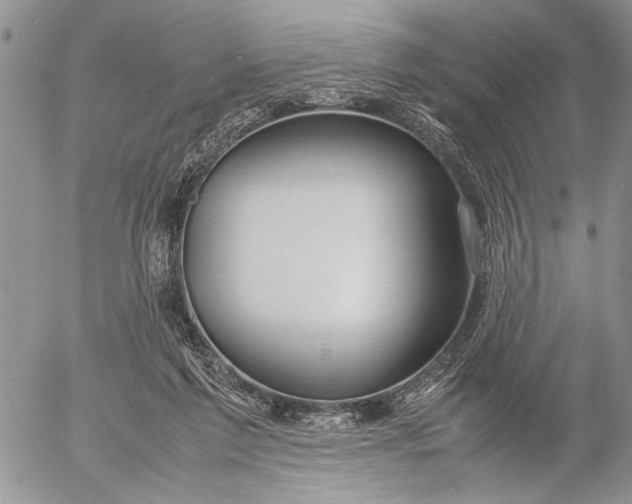 X0000053010213200507291716