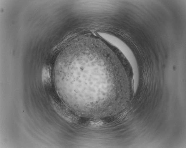 X0000053010214200507291716