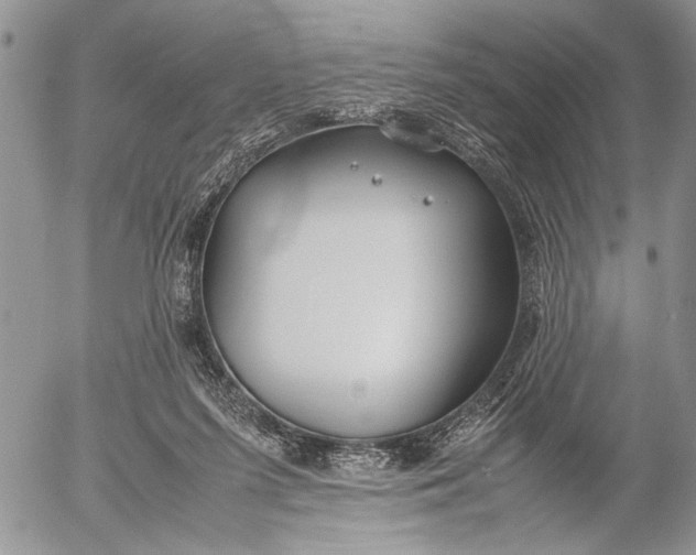 X0000053010215200507291716