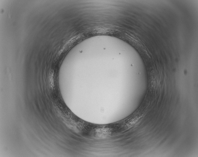 X0000053010216200507291716