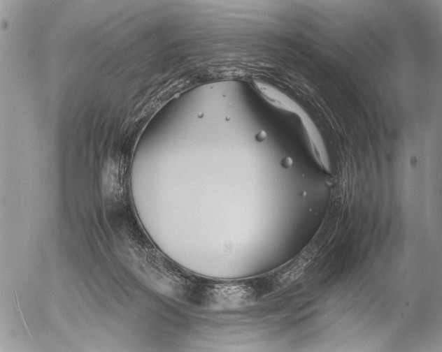 X0000053010218200507291716