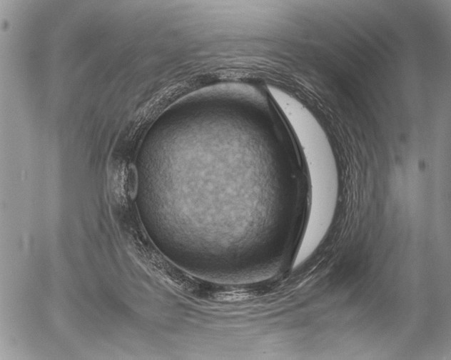 X0000053010219200507291716