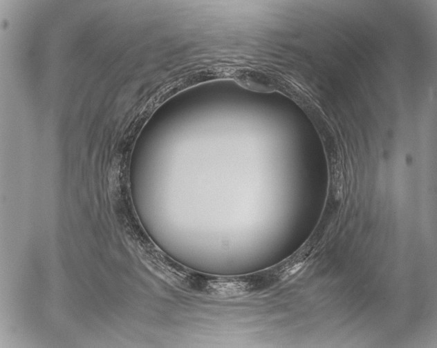 X0000053010221200507291716