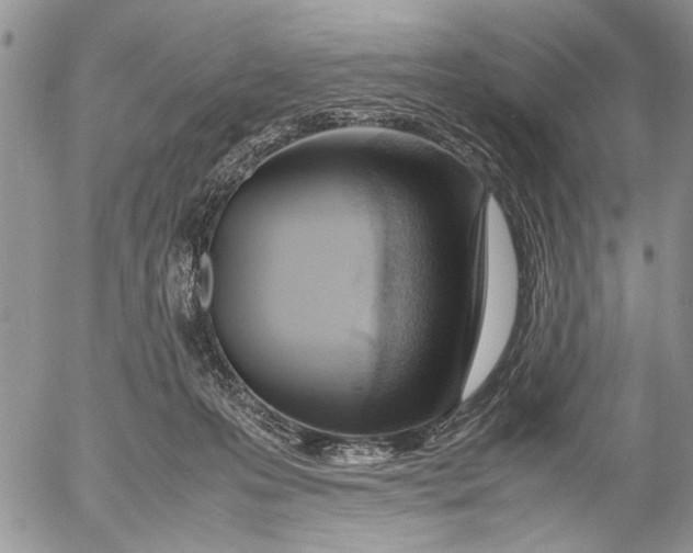 X0000053010223200507291716