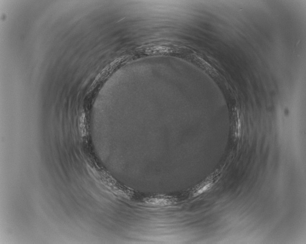 X0000053010224200507291716