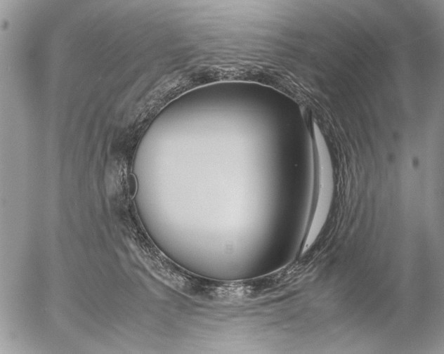 X0000053010225200507291716