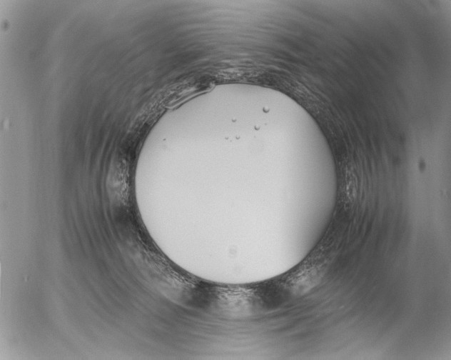 X0000053010226200507291716