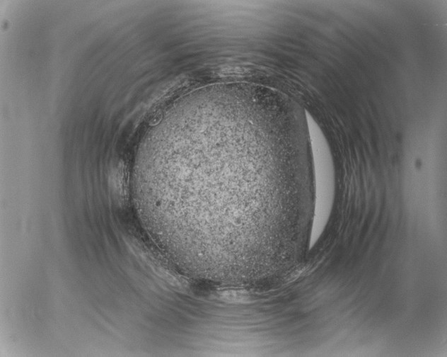 X0000053010228200507291716