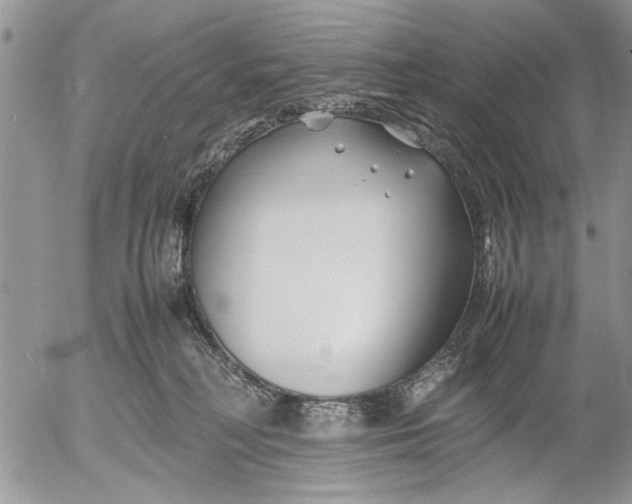 X0000053010230200507291716