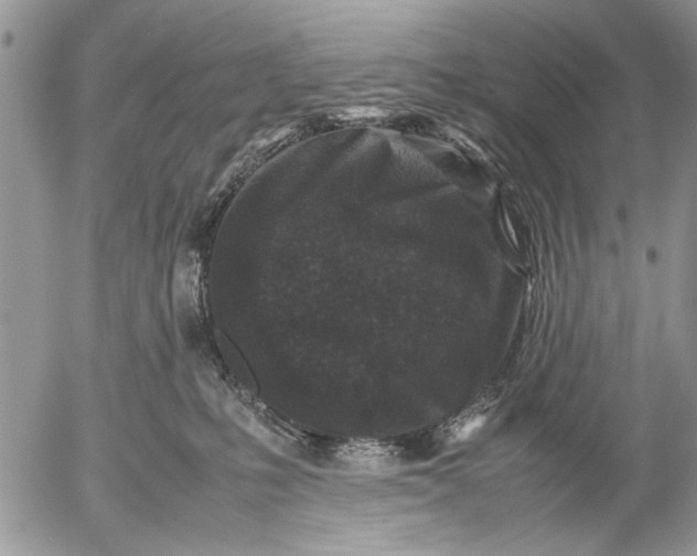 X0000053010231200507291716