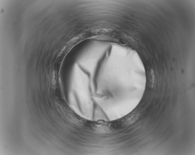 X0000053010232200507291716