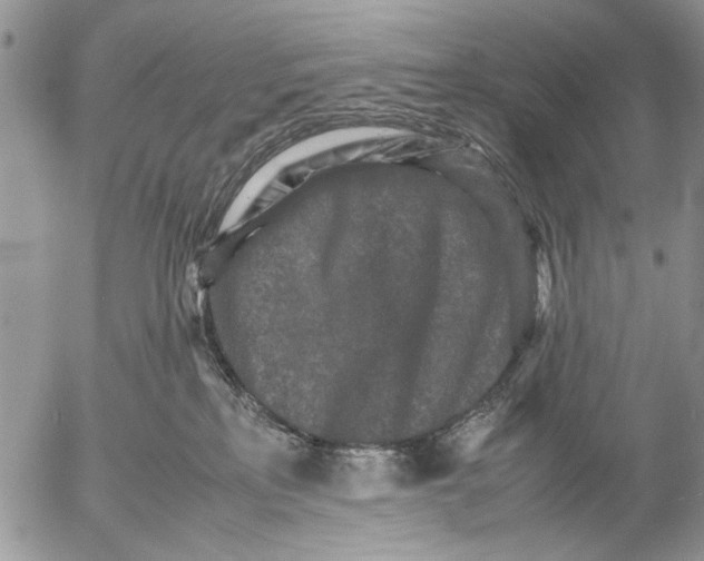 X0000053010233200507291716