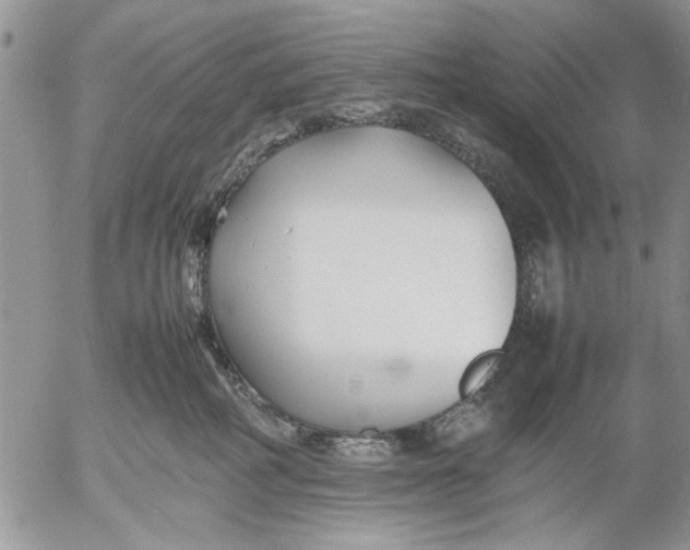 X0000053010234200507291716