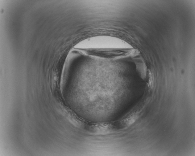 X0000053010235200507291716