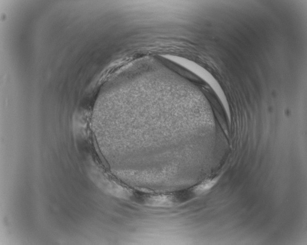 X0000053010237200507291716